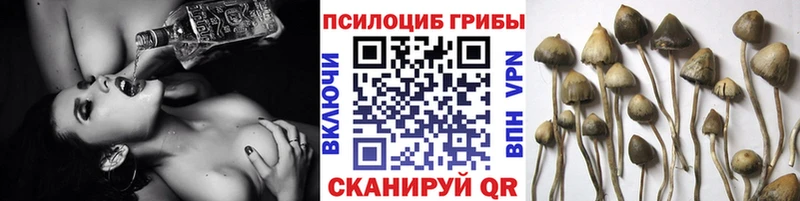 гидра вход  Калтан  Галлюциногенные грибы Magic Shrooms 