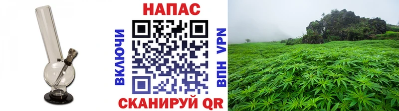 Бошки Шишки тримм Калтан